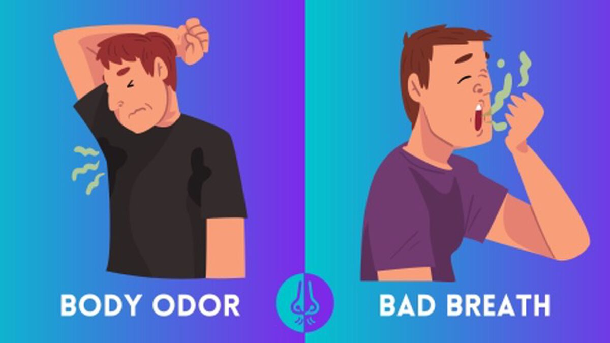 One To Stay, One To Go Away - Smell Edition image number null